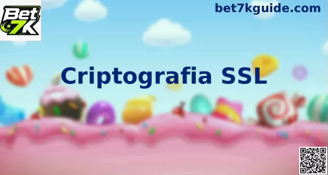 Infográfico sobre Criptografia SSL e TLS com conexões seguras HTTPS