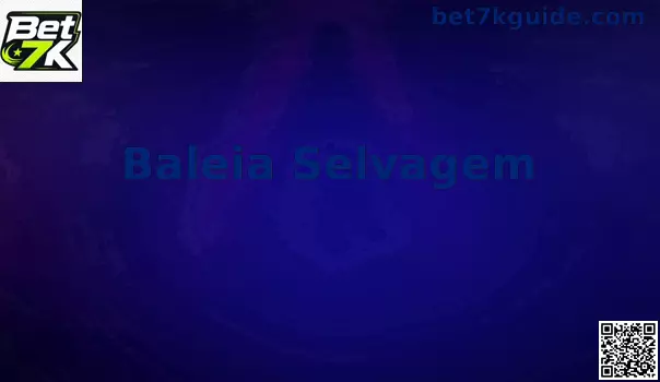 Gameplay